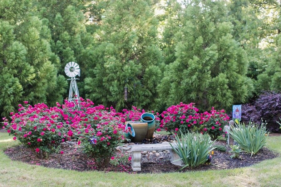 Garden Gate Dental's Garden